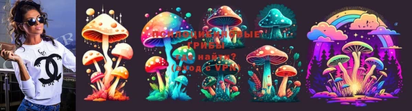 индика Заводоуковск