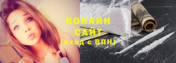 индика Заводоуковск