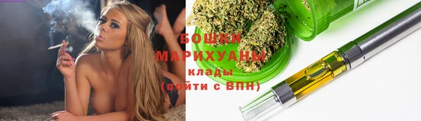 индика Заводоуковск