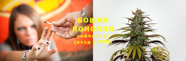 индика Заводоуковск