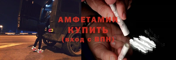 индика Заводоуковск