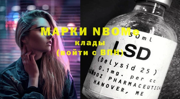 индика Заводоуковск