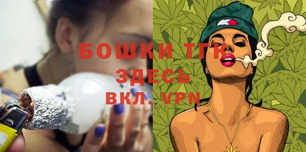 индика Заводоуковск