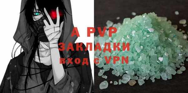 индика Заводоуковск