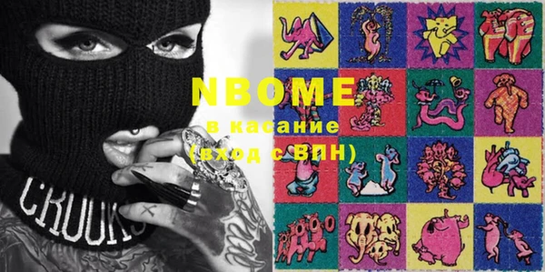 индика Заводоуковск