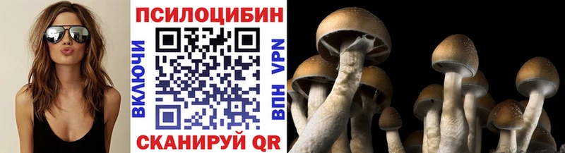 Псилоцибиновые грибы Psilocybine cubensis  Звенигород 