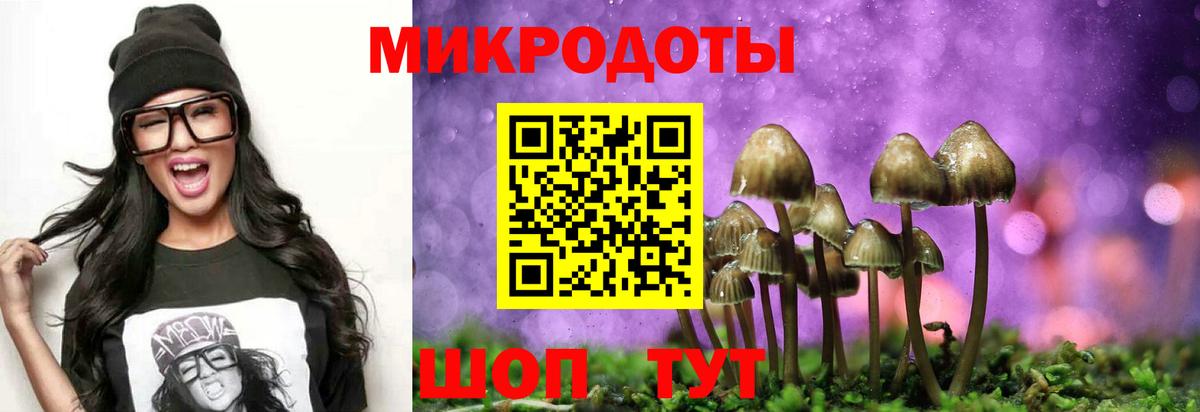 Галлюциногенные грибы GOLDEN TEACHER Звенигород